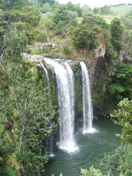 whangarei falls