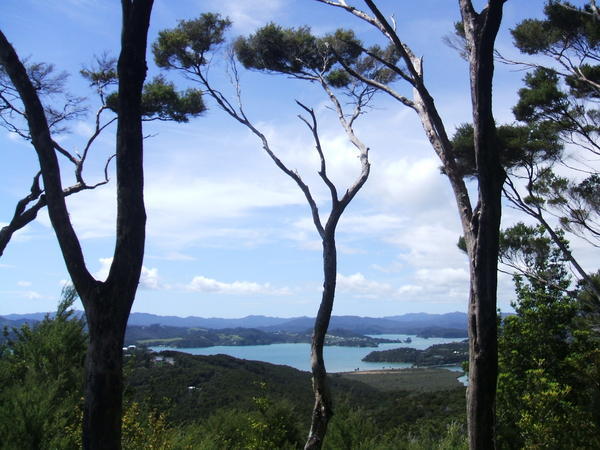 lookout from pahia