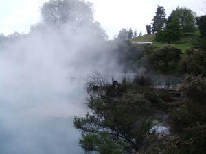 hot springs, rotorua