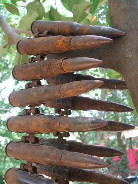 bullets hanging from a tree