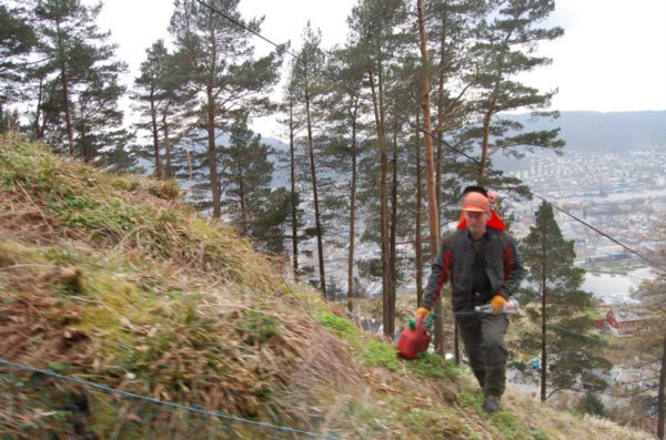 Norwegian dude with chainsaw halfway up mountain