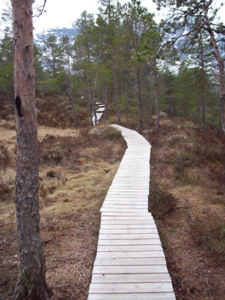 Norwegian Nature