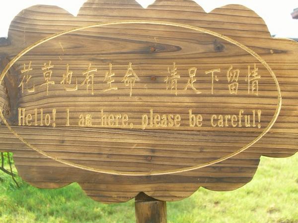 Chinglish 3