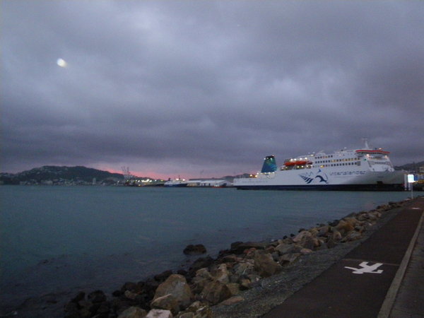Wellington Ferry in the am