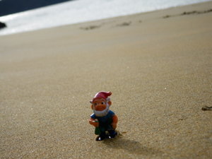 A Travel Gnome in Ulva Island, NZ