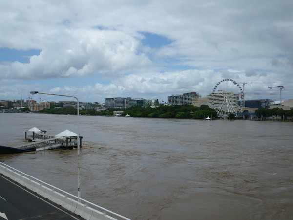 The Swollen Brisbane River