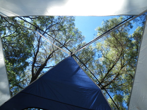 The View From The Tent