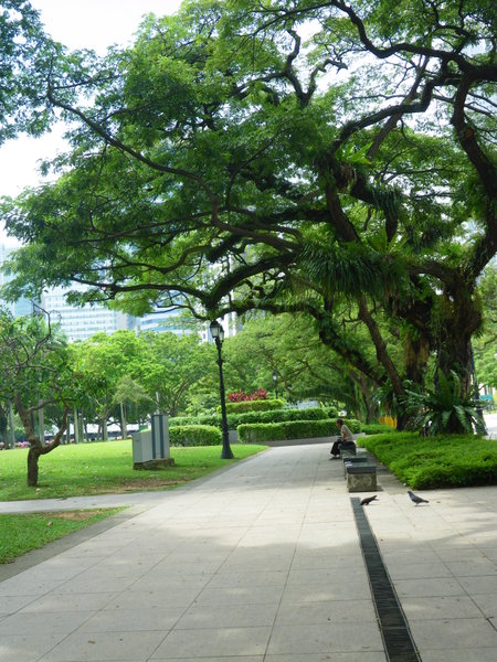 A Singapore Park Scene