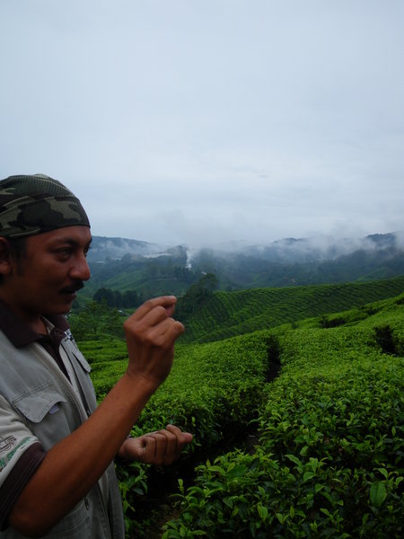 Our Guide Rambo Explaining Tea Things