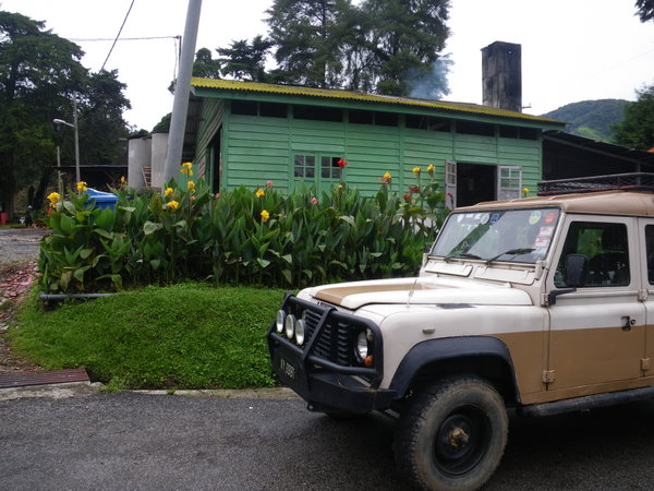 Land Rover At The Tea Plantation