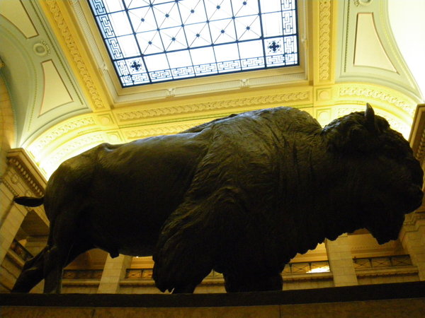 A Big Bison Statue In The Legislative Building, Winnipeg