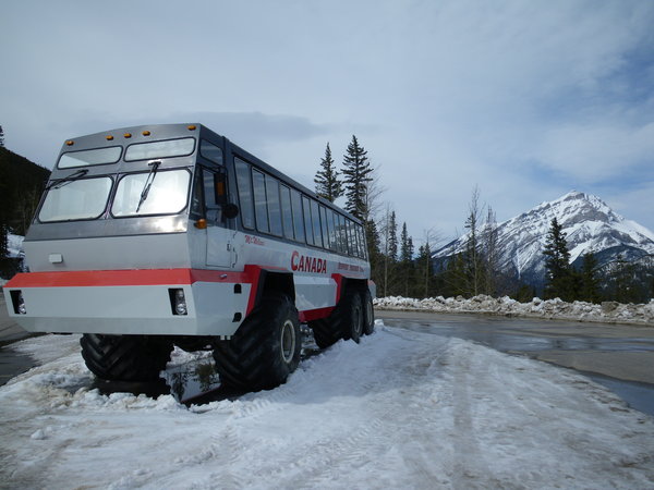 Canadian Bus