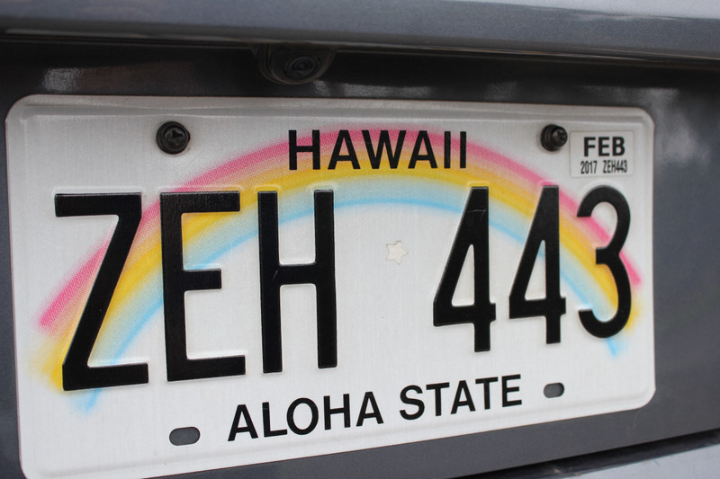 Loved the Aloha State plates