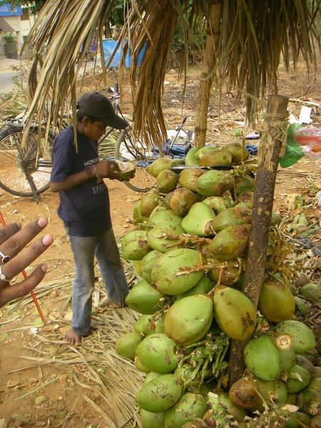 kokosnoten eten