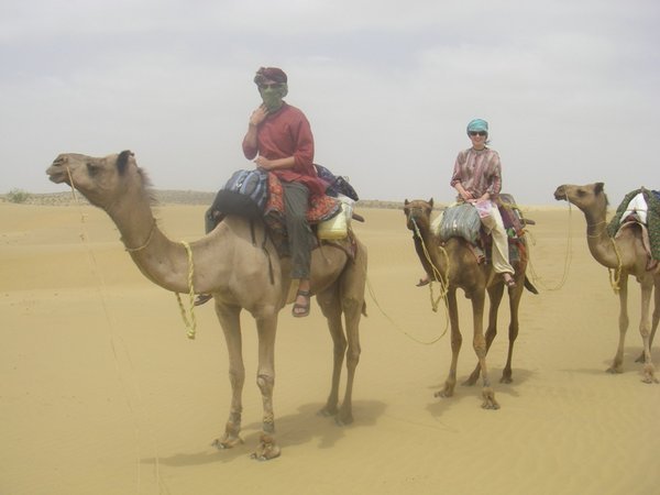 on the camels