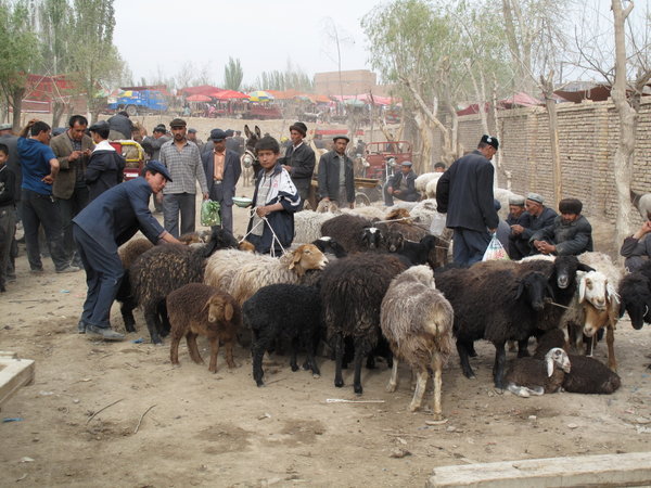 Livestock market