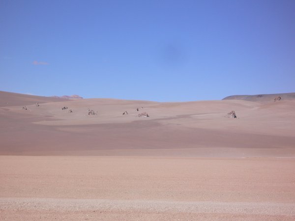 Called the Salvador Dali desert by locals
