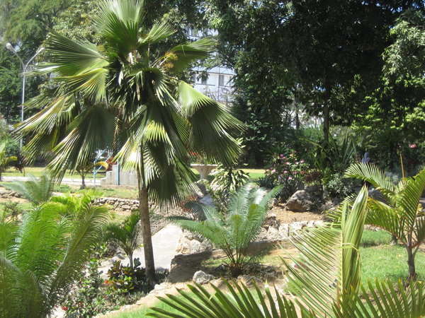 Gardens in Mombasa