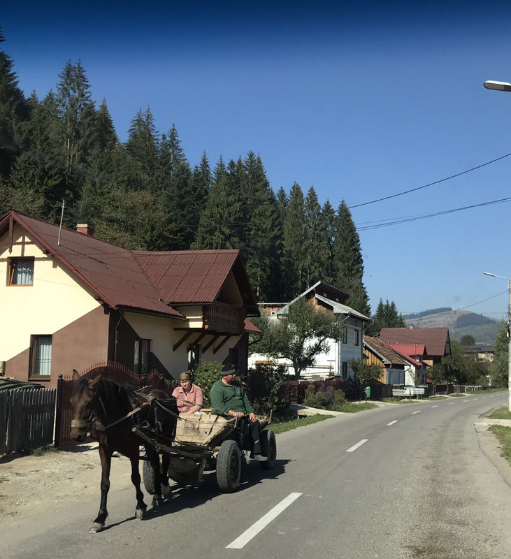 Cart - in countryside near Suceava