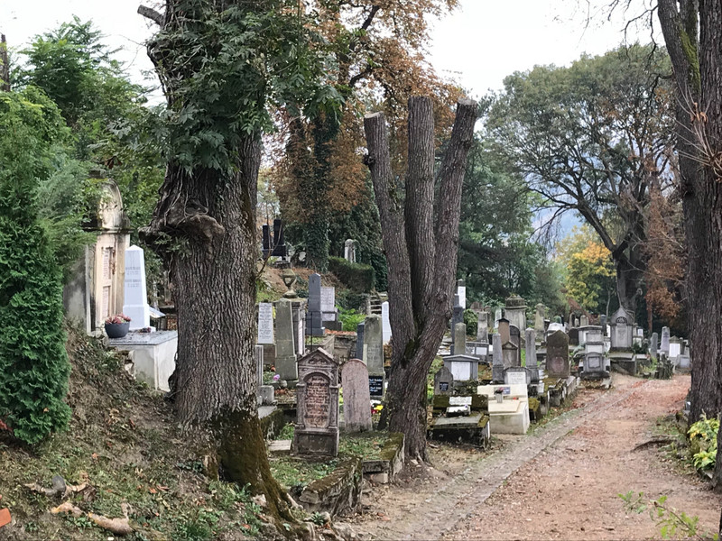 spooky cemetery 