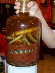 Snake wine