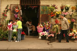 Chengdu Florist