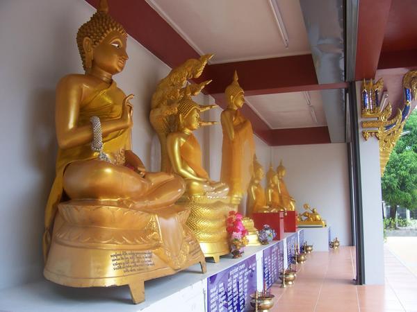 Row of Golden Buddhas