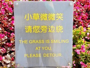 Awesome Chinglish