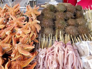 Starfish and Sea Urchins at Wangfujing