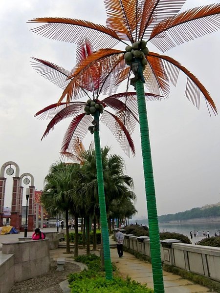 South Beach Style Palms