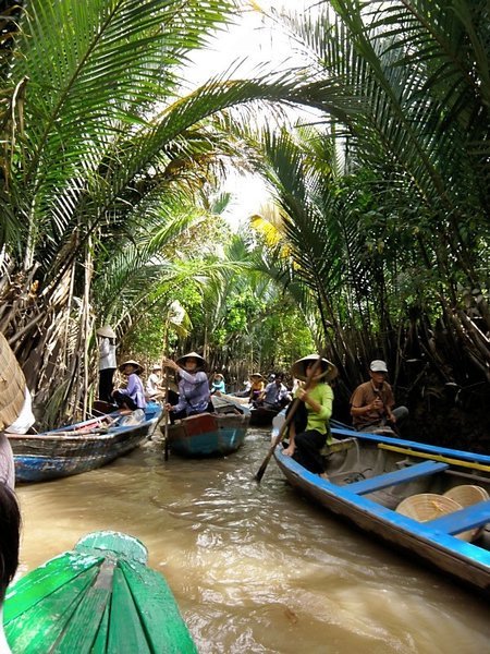 Canoeing Down the Palm Canals