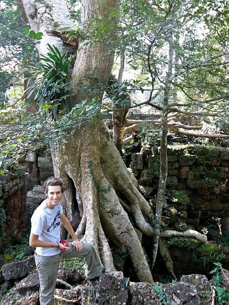 Trees at Preah Khan