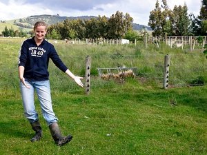 "Gumboots" - or Mucking Boots, as We Would Say!