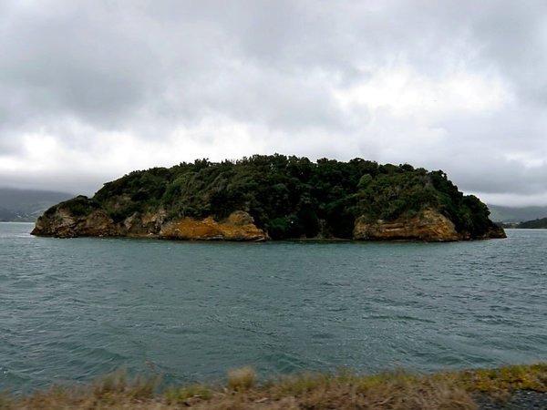 Island off Otago Peninsula