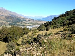 Distant Lake Wakatipu; Queenstown is at the Other End