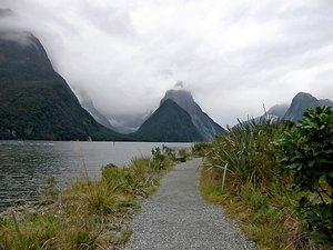 Milford Sound on a Cloudy Evening