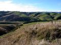 Rolling Hillside of Balclutha