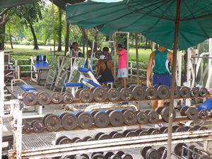 Gym in the Center of the Park