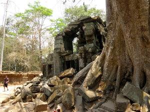 Ruins of Ta Phrom