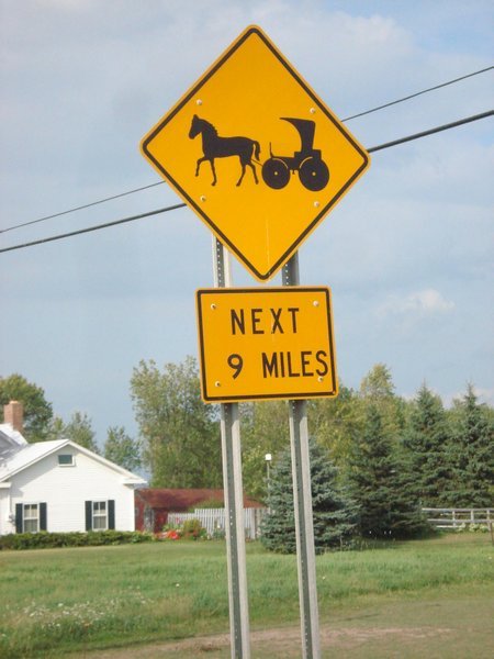 Sign warning of Amish horse and buggy