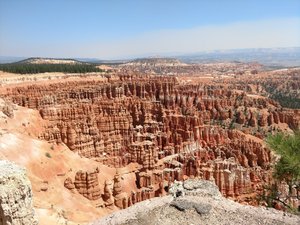 A View of the Canyon and the Hoodoos