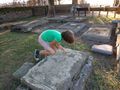 Trying to Read the Grave stones