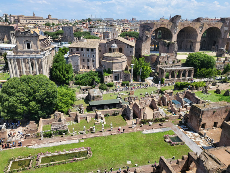The view from Palatine Hill