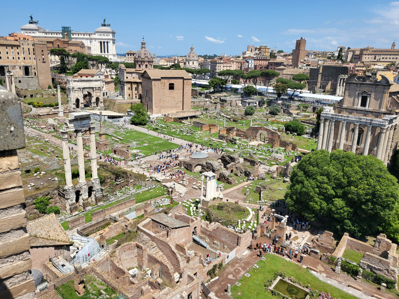 The Forum from Palatine Hill