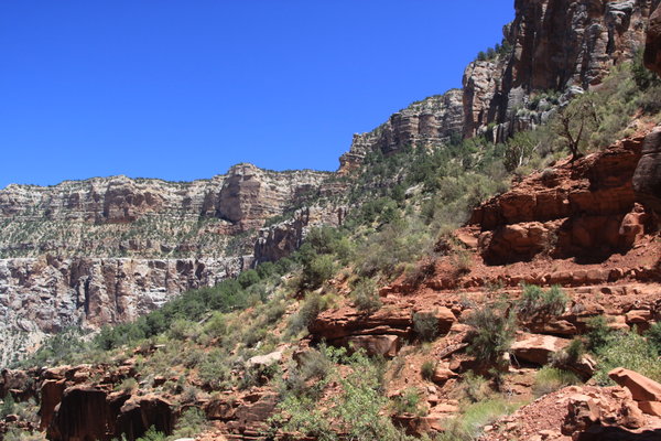 The View from the Bright Angel Trail