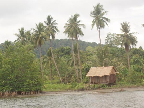 A secluded hut on the river bank.
