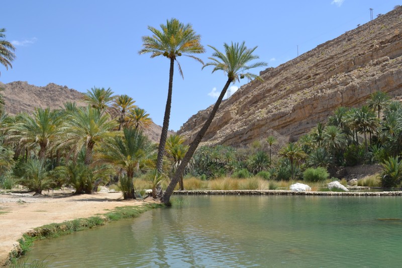 Wadi Bin Khalid