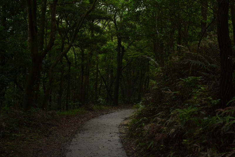 Nature walk on Lantau Island