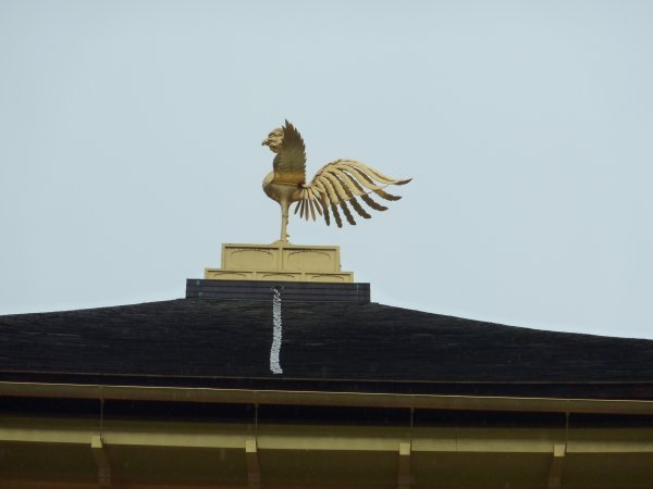 Phoenix on the roof