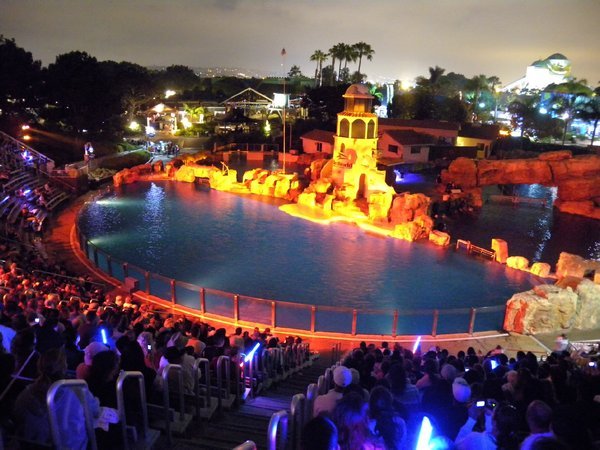 Colorful dolphin night show at SW
